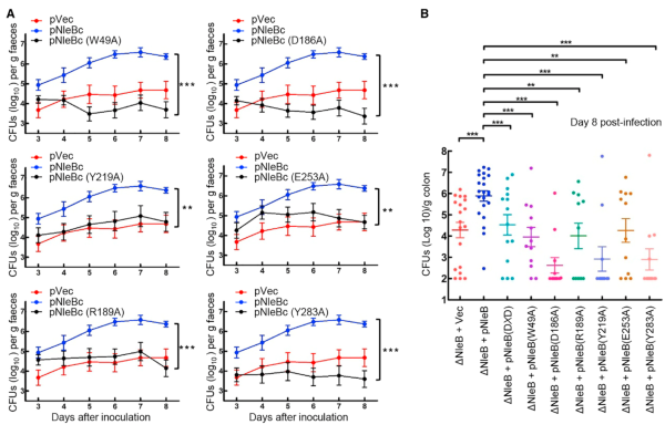 微信图片_20190410161412